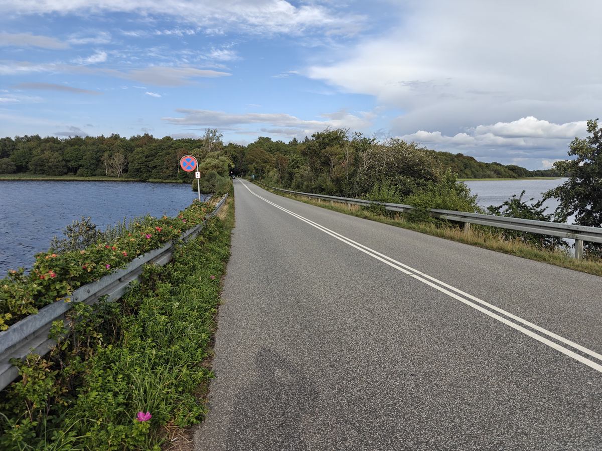 Asfaltvej langs søbredden i aftenlys, med en advarselstavle i vejkanten
